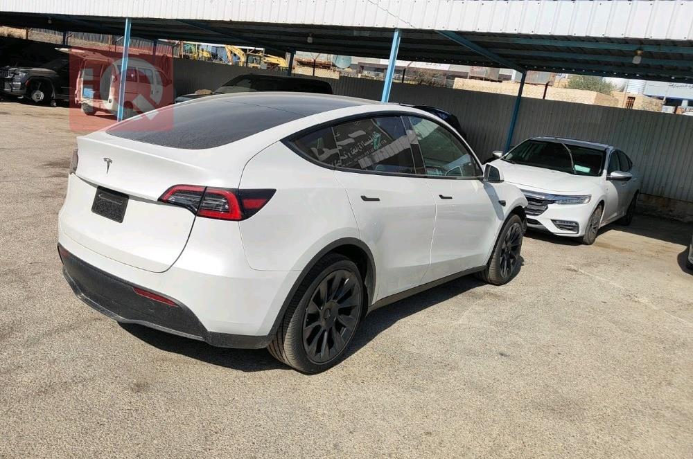 تسلا موديل Y